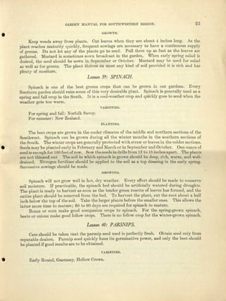 GARDEN MA1·mAL FOR SOUTHw;ESTERN REGION. 25
• GROWTH.
Keep weeds away from plants. Cut leaves when they era about 4 inches long. As the
plant reaches maturity quickly, frequent sowiugs are necoseery to have u continuous supply
of greens. Do not let any of the plants go to seed. Pull them up ns Inst es the leaves are
gathered. Mustard is sometimes sown broadcast in the garden. When early spring salad is
desired, the seed should be sown in September or October. Mustard may be used for salad
as well as for greens. The plent thrives on most any kind of soil provided it is rich end lias
plenty of mositure.
Lesson 39: SPINACH.
Spinach is one of the best greens crops that cnn be grown in our gardens. Every
Southern gurdon should raise some of twa vcry desirable plant. Spinach is generally used as a
spring and fall crop in the South. It is l cool-weather crop and quickly goes to seed when the
weather gets too wnrm.
v AlU"ETrffiS.
For spring and Iell: Norfolk Savoy.
For summer: New Zeeland.
PJ..ANTINO.
The best crops are grown in the cooler climates of the middle and northern sections 01 the
Southwest. Spinach can be grown during all tue winter months in the southern sections of
the Southo The wintel' crops fire generally protected wi th straw or leaves in the-colder sections.
• Seeds may be planted early in February and March orin September and October. One ounce of
seed is enough for 100 feet of row. Sow the seeds iu drills from 12 to ]5 inches npur-t. 'fho plants
are not thinned out The soil ill which spinach is grown should be deep, rich, warm, and well-
.drained. Nitrogen fertilizer should be applied to the soil IlS u, top dressing in tbe ORTly spring.
Successive sowinga should be rnndc. .
GROWING.
,
Spinach will not grow ";1311in hot, dry weather. Every effort should be mede to Conserve
soil moisture. If practicable, the splnnch bed should be ar-tificially watered during droughts.
'I'he plant is ready to harvest ns soon its the tender green rosette of leaves has formed, and the
entire plant should be removed from the bed. To harvest tho plant, cut the root about It hill
inch below the top of the soil. Take the larger plnuta before the smaller ones. 'Ibis allows the
latter more time to mature; 60 to 90 days 0.1'0 required for spinach to mature.
Beans 01' corn milk-a good companion crops to spinach. For tho eprlng-growu spinach,
beets or onions make good follow crops. There is no follow crop for the ","inter-grown spinach.
Lesson 40: PARSNIPS.
Cere should be taken tuat the parsnip seed 'used is perfectly fresh. Obtuin seed only from
reputable dealers. Parsnip seed quickly loses its germinative power, and only the best should
be planted if good results am to be obtained.
VARIETIES.
• Early Round, Guernsey, Hollow Crown.
 