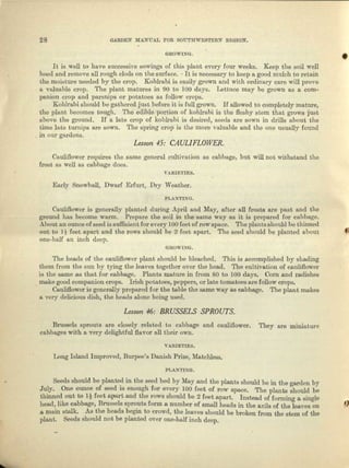 ----~-------
28 GARDEN MANUAL FOR SOUTHWESTERN REGION.
GROWING.
•It is well to have successive sewings of this plant every four weeks. Keep the soil well
hoed and remove all rough clods on the surface .. It.is necessary to keep a good mulch. to retain
the moisture needed by the crop. Kohlrabi is easily grown and with ordinary care will prove
a valuable crop. The plant matures in 90 to 100 days. Lettuce may be grown as a com-
panion crop and parsnips or potatoes as follow crops.
Kohlrabi should be gathered just before it is full grown. If allowed to completely mature,
the plant becomes tough. The edible portion of kohlrabi is the fleshy stem that grows just
above the ground. If a late crop of kohlrabi is desired, seeds 111'13 sown in drills about the
time late turnips are sown. The spring crop is the more valuable and the one usually found
in our gardens.
Lesson 45: CAUil FLOWER.
Cauliflower requires the same general cultivation as cabbage, but will not withstand the
frost as well as cabbage does.
VARIETIES.
Early Snowball, Dwarf Erfurt, Dry Weather.
PlANTING.
Oauliflower is generally planted during April and May, after all frosts are past and the
ground has become warm. Prepare the Boil in the same way as it is prepared for cabbage.
About an ounce of seed is euffloient for every 100 feet of row space. The plants should be thinned
out to 1; feet apart and the rows should bo 2 feet apart. The seed should be planted about t)
one-half an inch deep.
GROWTNG.
The heads of tho cauliflower plant should be bleached. This is accomplished by slisding
them from the sun by tying the loaves together over the bend. The cultivation of cauliflower
is the same ee that for cabbage. Plants mnbure in from 80 to 100 days. Corn and radishes
IDAkegood companion crops. Irish potatoes, peppers, or late tomatoes urc Iollow crops.
Cauliflower 1Sgenerally prepared for the table the same way as cabbage. The plant makes
n very delicious dish, the heads ulcue being used.
Lesson 46: BRUSSELS SPROUTS.
Brussels sprouts are closely related to cabbage and cauliflower. They are miniature
cabbages with R very delightful flavor nil their own.
V.o.Rf.ETIES.
Long Island Improved, Burpee's Danish Prize, Matchless.
Seeds should be planted in tbe seed bed by :Mayand the plants should be in the garden by
July. One ounce of seed is enough for every 100 feet of row space. The plants should 1)0
thinne~ out to Ii feet apart and the rows should bo 2 feet apart. Instead of forming n si.nglo
head, like cabbage, Brussels sprouts form a number of small heeds in the axila of the Ieaves on ~}
a main stalk. As the heads begin to crowd, the leaves should be broken from the stem of the
plant. Seeds should not be planted over one-hall inch deep.
 