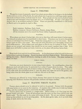 GARDEN MANUAL FOR SOUTHWESTERN REGION. 31
Lesson 5" TOMATOES .
• 'Ihogarden tomato is generally raised from plants grown either in the house or in the hotbed.
In the southern section of the South, the early plunte mey be grown in 11cold frame under canvas,
but in the northern section, hotbeds must be used. Many people sow the seed in shallow boxes
in the house and transplant when the plants f1-1'B 4 or 5 inches high. If only a few plants fire
desired, this is an excellent method to fellow. Plants are generally transferred to cold frames
in March and to the garden in April or May.
VAltIETlES.
Early tomatoes: Earlinua, Early Jewel.
Medium tomatoes: Graalle,' Baltimore, Beauty, Acme, Stone.
(If the tomatoes are to be canned the St-one variety is generally preferred.)
PLANTING.
Whoo plants MO about 2 inches higb, thin out so that they will stand about 2 'iucbee apart.
The thinned-out plants may be transferred to other boxes. Tomatoes may be set in the gnrden
as sQOnl1SfLlJ danger from frost is peat, Prune the young plants to one dr two stems. Set 18
inches apart in row'S 3 feet apart. Rave the soil well pulverized and thoroughly mixed with
good stable IDIlJlUre. Drive stakes near each plant so tha.t it !nay be trained au them. IT the
plants are not pruned and staked, they should be set not nearer together than 4 feet. It is
much more advisable to prune and stake, however, (IS the plant will produce better fruit.
OROWU~O.
r. Keep weeds down and stir the scilfrequeutly. As tbe plnat grows taller it should befasteued
to thestnlcee to prevent dropping. Fasten the plane with inch bends of cloth. This will prevent
cutting the stems. Remove all shoots, starting nu uxila of the leaves. 'Ibe plent matures in
about 110 days.
'l'OMA'rO PESTS.
OUTWORMS.
Cutworms are most destructive to our young tomato plants. In n small gurdeu, where few
plants am used altch plant filly be protected by u, collar of puper about ita roots. This collar
should be about 4 inches long and at least 2 inches in din.metcr. 'rho tomato plant is first set
inthe cellar with the soil fumed about it.; then the plant and collar are set in the garden, care
being taken that the whole plu.nt is set well into the soil n-t tho base.
])ISEASES.
Tomatoes are affected by runny fungus diaeasea that. attack the leaves, stnlks, and fruit.
spraying with Bordeaux mixture will generally eradicate ell fungus troubles.
Lesson 52; TRAI NINC TOMATO PLANTS.
•
Tomato plants should never bo allowed to ta-ail on the ground. Contact with the ground
will cause brown rot to occur in the tomatoes. It requires only a Iiutle cure to train up tomato
plants, and the resulting boueflt is well worth the etTort expended. ,
TOIDlLto plants may be trained to it. single stake. Drive fI. stake 4 or 5 feet long i.nto the
ground beside each pJaut. Prune off all suc.kers neltJ.·the roots, sO that there will be only one
stu.rdy still. Tie this st.alk to tho stAke with strips of clol;h. Do not use ordinary "TlLpping
twinG as this is likely to cut the growing plant. .As the plant grows tnller, tie it up with other
strips of cloth above the first strip.
 