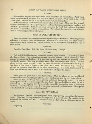 33 OAIWEN MANUAL FOR SOUTHWESTERN REGION.
PLANTING.
Watermelons require more space than either cucumbers or muskmelons. Plant water-
melon seeds iu rows 10 feet apart or in hills from 8 to 10 feet apart. Thin plants in the rows to
3 feet apart. Prepare the soil in exactly the atune way us for cucumbers.
Both muskmelons and watermelons me important truck crops. They grow best in sandy
soils and warm climates. If the growing eeaeon is short, the melon does not grow very large and
is not of 11 good quality. Field melons are so common in the South that gardeners do not take
the trouble to raise them in their home gardens. They should be grown, however, whenever
there is room enough for their cultivation.
Lesson 62: POTATOES (SWEE7).
Sweet potatoes (lJ"8 not usually considered a garden crop in the South. They are generally
cultivated in extensive trncte by themselves. However, it is advisable to have a few plants in
the garden for early summer use. Sweet potatoes are not raised from seeds but from slips or
small plan te.
VARrETJES.
Pumpkin Yam, Nancy Hill, Big Stem, Big Stem Jersey, Triumph.
Only well-drained laud should be used for planting sweet potatoes. The planting is gener-
ally done in ridges. Plow or spade the soil well and break nll clods. Mix in a dressing of eteble
manure or commercial fertilizer. If a plow can be used, two furrows are generally throe...n
together for a ridge. If no 'plow is avn.ilable;.these.fiages must be made with a spade. Potatoes .'flJ
should be in the ground by April. About 100 plants are sufficient-for every 100 feet of row space.
Set plants 1 foot apart in ridges 2~ feet apart. Plant f.rom 4 to 6 inches deep. The roots
planted are generally those that are too small for marketing. If an early crop is desired, the
roots must be bedded for five weeks in a hotbed before setting in the garden.
GROWING.
Sweet potatoes grow well in dry, hot weather. Alter the plants are once established,
little further attention need be given them. Keep weeds away from tho very young plants.
Sweet potatoes, like Irish potatoes, are dug and stored through the winter. It is best to
dig the potatoes before there is danger of a herd frost. Digging should occur when the soil is
perfectly dry. ASter digging, allow the roots to lie exposed for three or four hours to thoroughly
dry them. After they have become dry, place in a warm, well-ventilated room. Many people
in the South bank their potatoes in the ground.
Lesson 6;: RUTABAGAS.
Rutebnges or "Swedish" turnips require a much longer growing season than the common
turnip. 'I'heyare a fall crop and should not be planted in the South before July, us tbeydo not
witb:'tand the summer beat well. Their <;ultivation aud harvesting are tho same tIS for tho
turnip.
VARIETIES.
Purple Top.
 