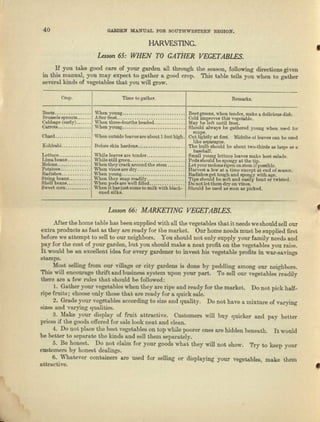40 GARDEN MA1fUAL FOR SOUTHWESTERN REGION.
HARVESTING.
Lesson 65: WHEN TO GATHER VEGETABLES. •
If you take good care of your garden all through the season, following directions given
in this IDllJ1Unl, you may expect to gather a good crop. This table tells you when to ga-ther
several kinds of vegetables that you will grow.
Crop. TUne to guther. RCIIUU'ka.
Beets __ "'hen y(lung .
Brueaele sprouta .. _.... After fl'Ollt._ ••.••• _•••....•.• _..•••.••.•
C~bbage (early) •..... _ When three-fourths headed __. __ .
Oeerote .. _._ Vhen young .........•••.•..... _ _. _ .
Chard __ When outside IOOVllS are ebout 1 foot high.
KohlmbL __. _ Before skin hardens .. _.•.... _. _.•..•....
Lettuce. _ _ .
Lima beans .
:Melons ..............••
Potatoes .
Rediahee .
String bcene .•.•......
Shelfbeana .
Sweet corn .••..••••...
While Ieevee are tender ........•.••.•....
While atill green •.•..•..................
When they crack around the stem .
When viaee are dry .
When young ......................•.•....
When they snap readily ••..•.......... _..
When ~II are well £1100.... _.•.........
When It haajuet come to milk with black-
ened silks.
Beet greene, wben tender, wake u delicious dish.
Cold rmprovee this vegetable.
1I..Io.ybe left until frost.
Should always be gathered young when used for
BOllf!?
Olt hghtly at first. Midribs of leaves can be ueed
like asparagus.
Tho bulb should be about two-tbieds lS large as a
baseball.
Small yOWlg Iettcce Jeevee make best ealade.
Pcde ehculdbespongyat the tip.
Let your melons ripen on stem if}JO!!8ib1e.
Harvest ll. few lit II time except nt end of SeMOn.
nadisbea get rough and spongy with age.
Tipa should be soft lind eaaily bent or twteted.
Do not let them dry on vines.
Should be used as eooa us picked.
Lesson 66: MARKETING VEGETABLES. t
After the home table has been supplied with all the vegetables. that it needs we should sell our
extru. products as fast as they are ready for the market. Our home needs must be supplied first
before we attempt to sell to our neighbors. You should not only supply your family needs and
pay for the cost of your garden, but you should make a. neat profit on the vegetables you raise.
It would be au excellent idea. for every gardener to invest his vegetable profits in war-savings
stamps.
Most selling from our village or city gardens is done by peddling among our neighbors.
This will encourage thrift and business system upon your part. To Bell our vegetables readily
there are a few rules that should be followed:
L Gather your vegetables when they are ripe and ready for the market. Do not pick hull-
ripe fruits; choose only those that are ready for a quick aule.
2. Grade your vegetables according to size and quality. Do not have a mixture of varying
sizes and varying qualities.
3. Make your display of fruit attractive. Customers will buy quicker and pay better
prices if the goods offered for sale look neat and clean.
4. Do not place tbe best vegetables on top while poorer ones are hidden beneath. It would
be better to separate the kinds and sell them separately.
5. Be honest. Do not claim for your goods what they will not show. Try to keep your
customers by honest dealings.
6. Whatever conteinera are used for selling or displaying your vegetables, make them
attractive. ,
 