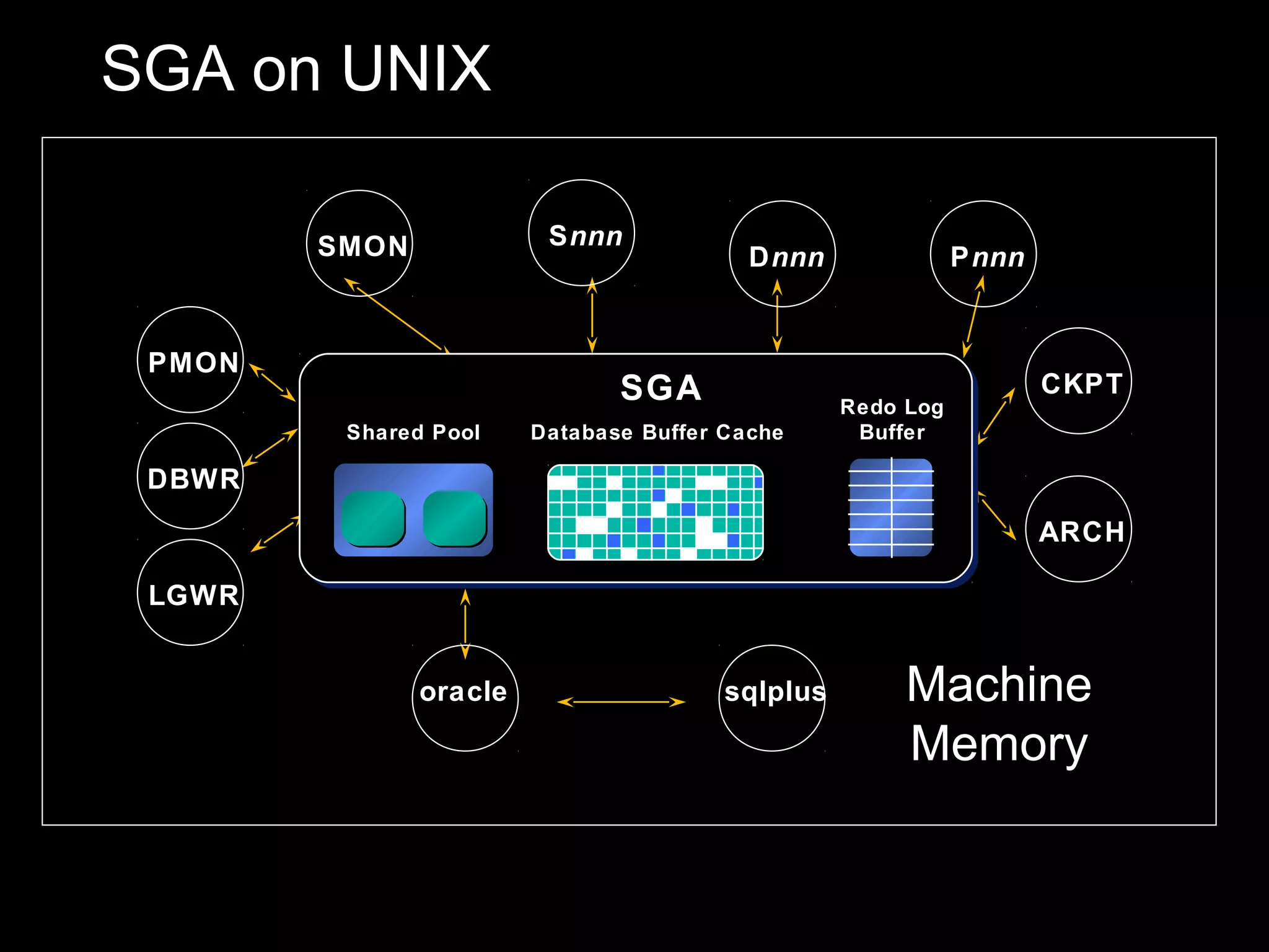 SGA on UNIX

        SMON             S nnn
                                          D nnn              P nnn


 PMON
                               SGA                                   CKPT
                                                  Redo Log
         Shared Pool    Database Buffer Cache      Buffer

 DBWR
                                                                     ARCH

 LGWR


               oracle                   sqlplus        Machine
                                                       Memory
 