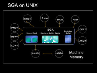 SGA on UNIX

        SMON             S nnn
                                          D nnn              P nnn


 PMON
                               SGA                                   CKPT
                                                  Redo Log
         Shared Pool    Database Buffer Cache      Buffer

 DBWR
                                                                     ARCH

 LGWR


               oracle                   sqlplus        Machine
                                                       Memory
 