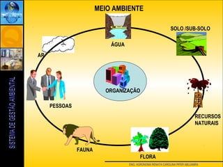 ENG. AGRONOMA RENATA CAROLINA PIFER ABUJAMRA
MEIO AMBIENTE
ÁGUA
AR
SOLO /SUB-SOLO
RECURSOS
NATURAIS
FLORA
FAUNA
PESSOAS
ORGANIZAÇÃO
 