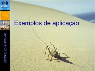 ENG. AGRONOMA RENATA CAROLINA PIFER ABUJAMRA
Exemplos de aplicação
 