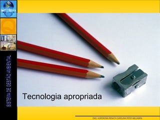 ENG. AGRONOMA RENATA CAROLINA PIFER ABUJAMRA
Tecnologia apropriada
 
