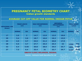 PREGNANCY FETAL BIOMETRY CHART
Indian growth standards
AVARAGE CUT-OFF VALUE FOR NORMAL INDIAN FETUS
GESTATIONAL AGE
(Weeks)
FEMUR LENGTH
(cm)
HEAD CIRCUMFERENCE
(cm)
ABDOMINAL
CIRCUMFERENCE
(cm)
FETAL WEIGHT
( gram)
NORMAL SGA NORMAL SGA NORMAL SGA NORMAL SGA
17 2.5 2 14.7 12.9 12.5 10.6
20 3.4 2.6 18.7 16.6 16.2 13.9
24 4.5 3.7 23.5 21.2 20.8 17.9
28 5.5 4.7 27.7 25.3 25.3 22 1250 750
32 6.4 5.55 30.8 28.6 29.5 25.7 1800 1106
37 7.3 6.4 33.4 31 33.7 29.7 3100 2050
OBGYN CLINIC BOLANGIR, ODISHA.
Scource:- Indchemie Health Specialties Pvt. Ltd
 