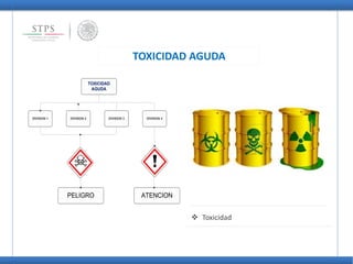 TOXICIDAD AGUDA
 Toxicidad
TOXICIDAD
AGUDA
DIVISION 3 DIVISION 4DIVISION 2DIVISION 1
PELIGRO ATENCION
 