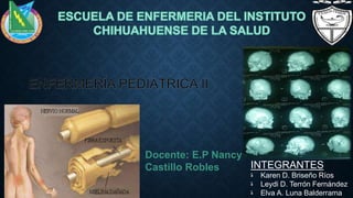 Docente: E.P Nancy
Castillo Robles INTEGRANTES
‫ﺓ‬ Karen D. Briseño Ríos
‫ﺓ‬ Leydi D. Terrón Fernández
‫ﺓ‬ Elva A. Luna Balderrama
 