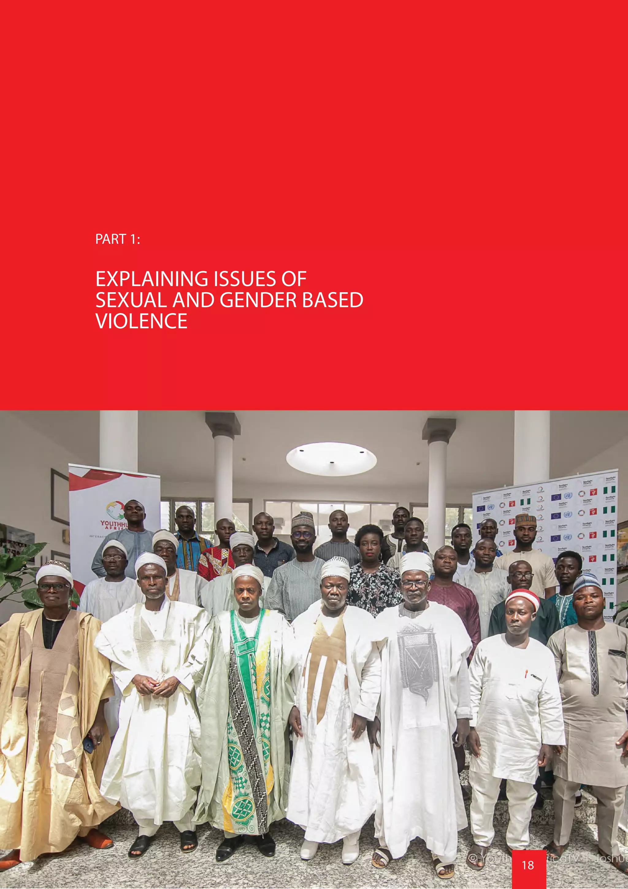 Sexual and Gender Based Violence | PDF