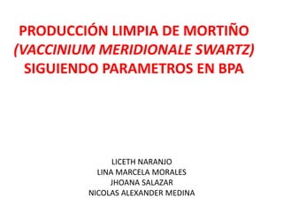 PRODUCCIÓN LIMPIA DE MORTIÑO(VACCINIUM MERIDIONALE SWARTZ) SIGUIENDO PARAMETROS EN BPA LICETH NARANJO LINA MARCELA MORALES JHOANA SALAZAR NICOLAS ALEXANDER MEDINA 