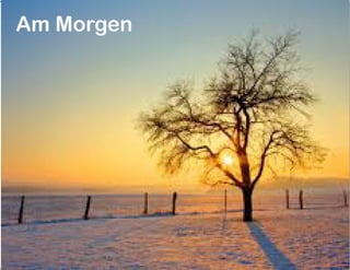 Am Morgen
 