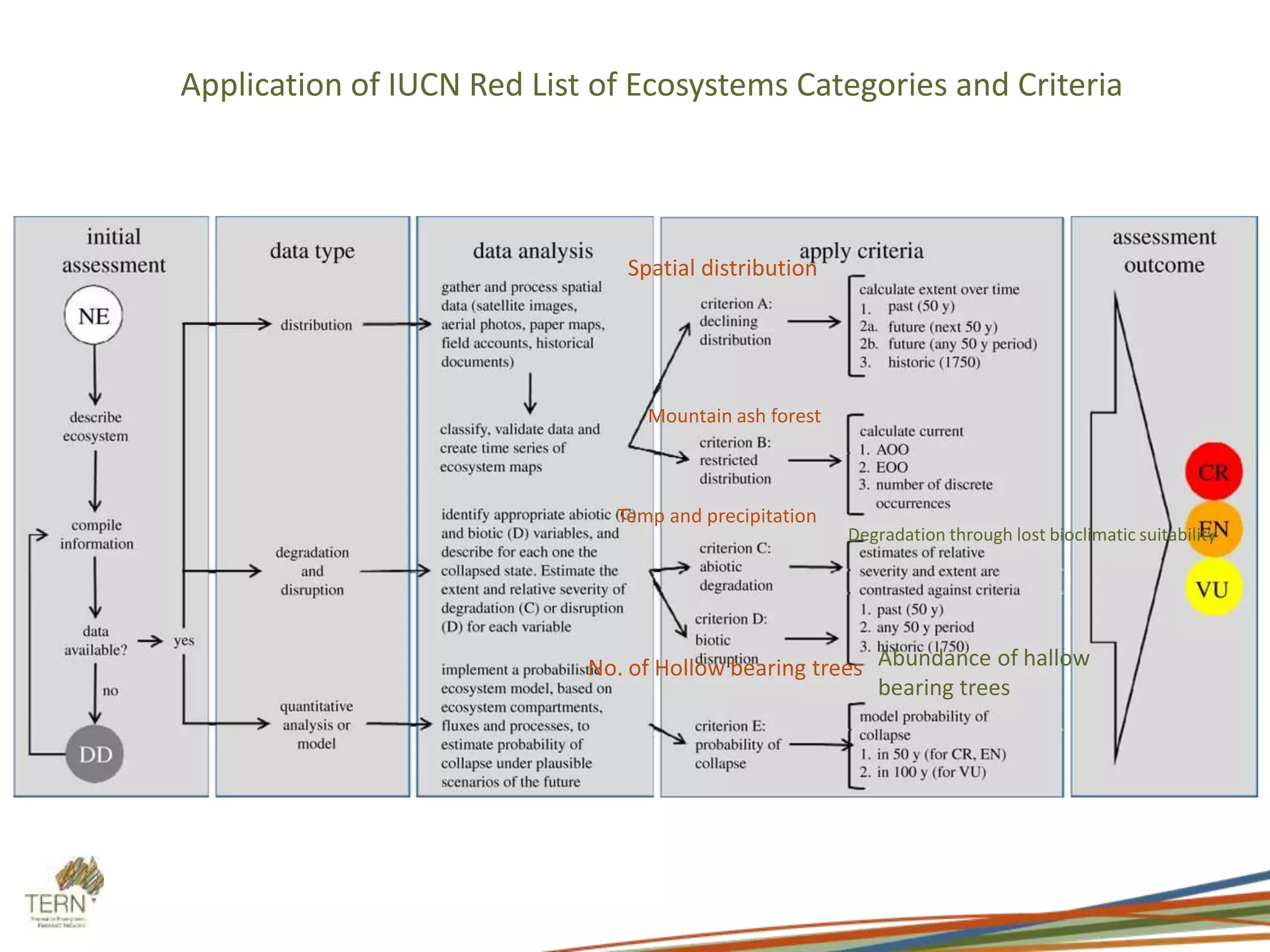 Application of IUCN Red List of Ecosystems Categories and Criteria
No. of Hollow bearing trees
Temp and precipitation
Spatial distribution
Abundance of hallow
bearing trees
Degradation through lost bioclimatic suitability
Mountain ash forest
 