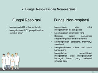 7. Fungsi Respirasi dan Non-respirasi


      Fungsi Respirasi                      Fungsi Non-respirasi
•   Memperoleh O2 untuk sel tubuh       •   Menyediakan         jalan      untuk
•   Mengeliminasi CO2 yang dihasilkan       mengeluarkan air dan panas
    oleh sel tubuh                      •   Meningkatkan aliran balik vena
                                        •   Berperan       dalam       memelihara
                                            keseimbangan asam basa normal
                                        •   Memungkinkan berbicara, menyanyi,
                                            vokalisasi
                                        •   Mempertahankan tubuh dari invasi
                                            bahan asing
                                        •   Mengelarkan,             memodifikasi,
                                            mengaktifkan atau menginaktifkan
                                            berbagai     bahan   yang    melewati
                                            sirkulasi paru
 
