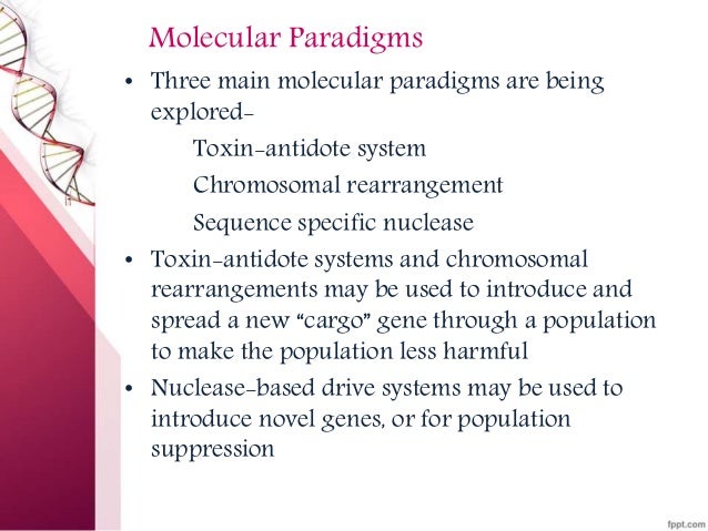 Synthetic Gene Drive System synthetic gene drive system