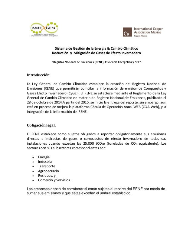 reporte ejecutivo