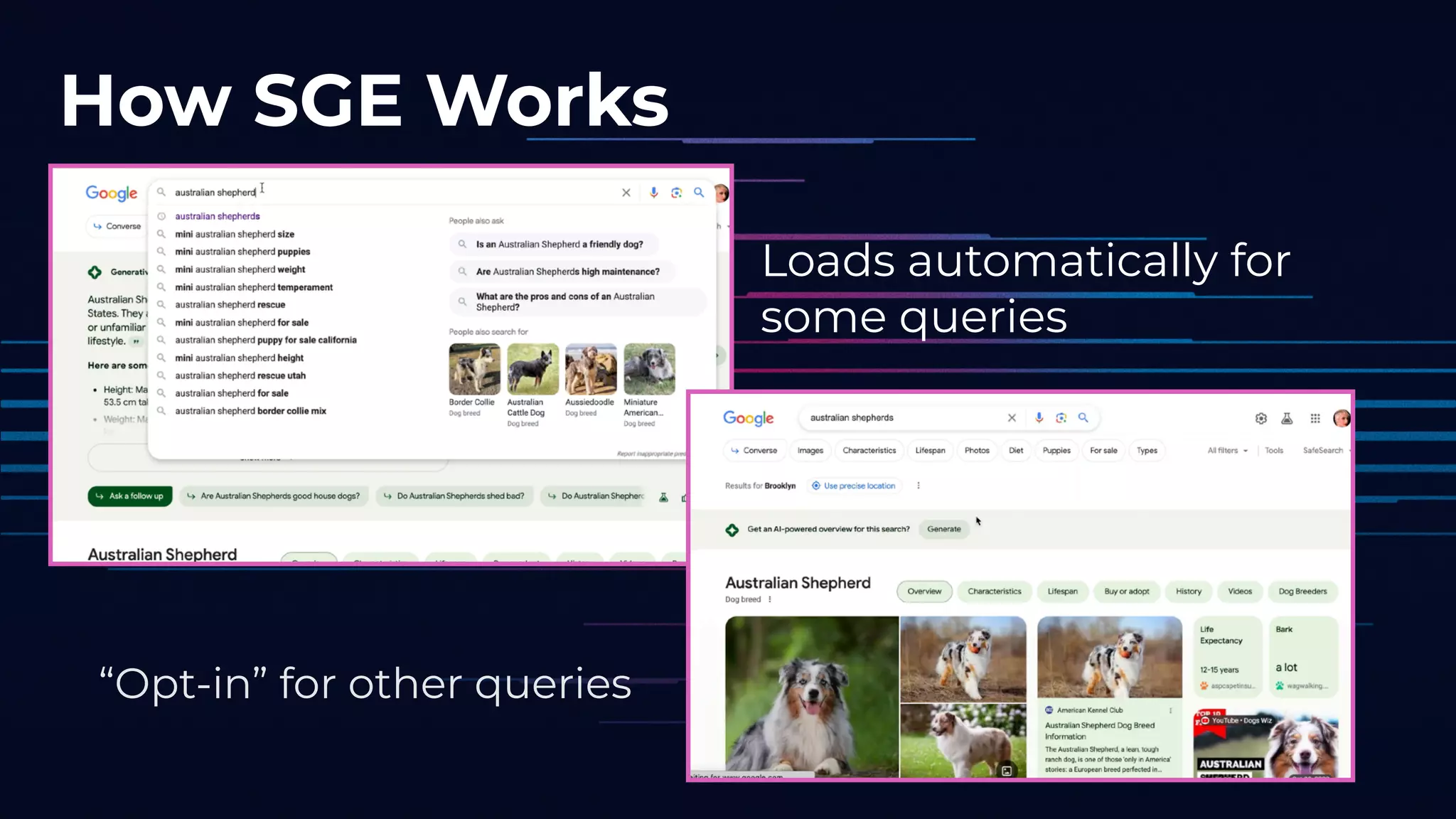 How SGE Works
Loads automatically for
some queries
“Opt-in” for other queries
 