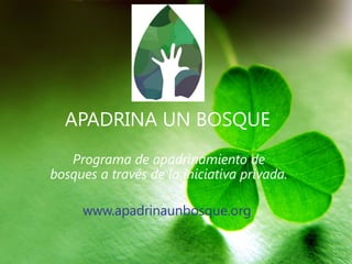 APADRINA UN BOSQUE
   Programa de apadrinamiento de
bosques a través de la iniciativa privada.

     www.apadrinaunbosque.org
 