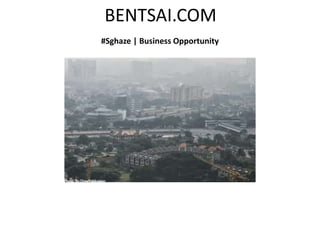 BENTSAI.COM
#Sghaze | Business Opportunity
 