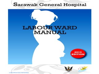 Sgh labour ward manual 2013