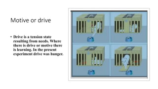 Motive or drive
• Drive is a tension state
resulting from needs. Where
there is drive or motive there
is learning. In the present
experiment drive was hunger.
 