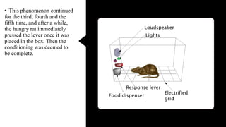 • This phenomenon continued
for the third, fourth and the
fifth time, and after a while,
the hungry rat immediately
pressed the lever once it was
placed in the box. Then the
conditioning was deemed to
be complete.
 