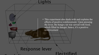 • This experiment also deals with and explains the
effects of positive reinforcement. Upon pressing
the lever, the hungry rat was served with food,
which filled its hunger; hence, it’s a positive
reinforcement
 