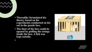 • Thorndike formulated his
theory, based on his
experiments conducted on his
cat in the puzzle box.
• The door of the box could be
opened by pulling the strings
inside the box. A fish was
kept outside.
•
 