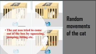 • The cat was tried to come
out of the box by squeezing,
jumping, biting etc.
 