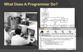 What Does A Programmer Do?
 