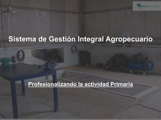 Sistema de Gestión Integral Agropecuario




     Profesionalizando la actividad Primaria




                                               1
 