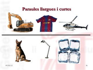 Paraules llargues i curtes




09/05/12                                36
 