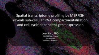 Spatial transcriptome profiling by MERFISH
reveals sub-cellular RNA compartmentalization
and cell-cycle dependent gene exp...
