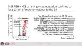 MERFISH + KDEL staining + segmentation confirms co-
localization of secretome genes to the ER
Jean Fan, PhD | SGI | Septem...