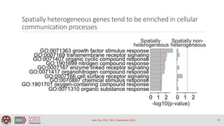 Jean Fan, PhD | SGI | September 2019
Spatially heterogeneous genes tend to be enriched in cellular
communication processes...