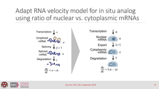 Adapt RNA velocity model for in situ analog
using ratio of nuclear vs. cytoplasmic mRNAs
Jean Fan, PhD | SGI | September 2...