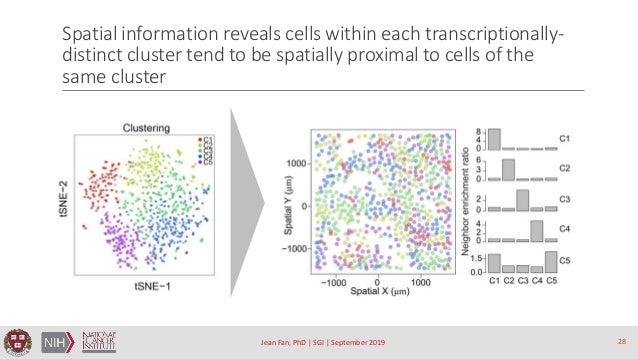 Spatial transcriptome profiling by MERFISH reveals sub-cellular RNA c…