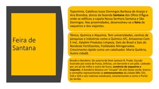 Feira de
Santana
Toponímia. Católicos lusos Domingos Barbosa de Araújo e
Ana Brandoa, donos da fazenda Santana dos Olhos D’Água
onde se edificou a capela Nossa Senhora Santana e São
Domingos. Nas proximidades, desenvolveu-se a feira de
vaqueiros e dos viajantes.
Tônica. Química e Alquimia. Tem universidades, centros de
pesquisas e indústrias como a Química JVC, Amazonas Com.
E Ind., Kalykim Produtos Limpeza, Sixis do Brasil e Sais do
Nordeste Fertilizantes, Fosfatados Nitrogenados.
Crescimento rápido como um catalisador. Maria Quitéria,
ilustre cidadã.
Brasão e Bandeira. De autoria de Dom Jackson B. Prado. Escudo
ilustrado por cesta de frutas, ânforas, um berrante e um pião. Ladeado
por um pé de milho e outro de fumo, comércio de vaqueiros e
viajantes. A bandeira destaca um “escape” de oito faixas verde, branca
e vermelha representando os entroncamentos da cidade (BRs 101,
316 e 324 e seis rodovias estaduais), caracterizando-a como o Portal
do Sertão.
 