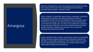 Amargosa
Toponímia. Zootopônimo. Nome derivado da pomba de sabor amargo
de cor pardo-cinzento com lustro roxo (Patagioneas Plumbea) e
apreciado pelos baitingas - silvícolas nativos.
Tônica. Filosofia. O ilustre filho Pedro Calmon, historiador, ex Ministro
da Educação, foi membro da Academia Brasileira de Letras e
presidente em 1945. Há um Cristo Redentor (obra do escultor Pedro
Ferreira) em uma praça. Há outra praça para a internacionalmente
conhecida Festa de São João. Já a Praça Lourival Monte é inspiradora
de pensamentos edificantes, incluindo a Catedral de Nossa Senhora
do Bom Conselho, a Maçonaria e os jardins. Há um centro de
formação de professores da UFRB.
Brasão e Bandeira. Não há brasão. Selo destaca a Praça Lourival Monte
(médico da época da gripe espanhola), de inspiração nos jardins de
Versailles e construções neoclássicas. Três estrelas verdes em campo
branco representando os três distritos e no campo verde o distrito
capital representado pela estrela branca.
 