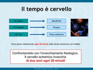 Il tempo è cervelloIl tempo è cervello
60 milioni NEURONI
415 miliardi Sinapsi
357 Km Fibre mieliniche
Sono perse mediamente ogni 30 minuti nello stroke ischemico non trattato
Confrontandolo con l’invecchiamento fisiologico,
Il cervello ischemico invecchia
di due anni ogni 30 minuti!
 