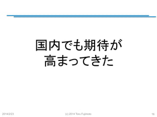国内でも期待が
高まってきた
	

2014/2/23

(c) 2014 Toru Fujimoto

16

 