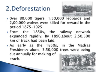 ? 0ver 80,000 tigers, 1,50,000 leopards and
2,00,000 wolves were killed for reward in the
period 1875-1925
? From the 1850s, the railway network
expanded rapidly. By 1890,about 2,50,500
km of track had been laid.
? As early as the 1850s, in the Madras
Presidency alone, 3,50,000 trees were being
cut annually for making of
track.
 