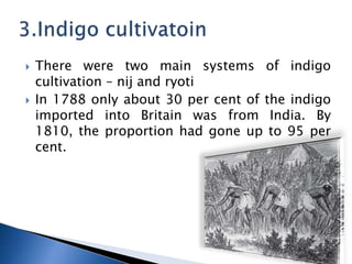 ? There were two main systems of indigo
cultivation C nij and ryoti
? In 1788 only about 30 per cent of the indigo
imported into Britain was from India. By
1810, the proportion had gone up to 95 per
cent.
 