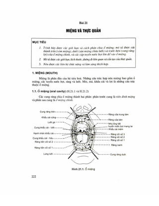 SGK Giải phẫu Miệng thực quản        .pdf