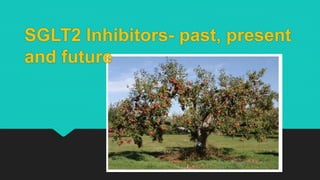 SGLT2 Inhibitors- past, present
and future
 