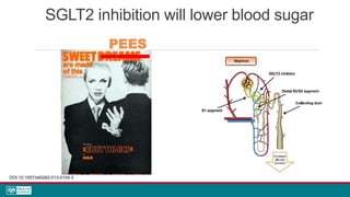 SGLT2 inhibition will lower blood sugar
DOI 10.1007/s40262-013-0104-3
PEES
 