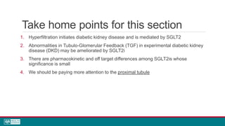 Take home points for this section
1. Hyperfiltration initiates diabetic kidney disease and is mediated by SGLT2
2. Abnormalities in Tubulo-Glomerular Feedback (TGF) in experimental diabetic kidney
disease (DKD) may be ameliorated by SGLT2i
3. There are pharmacokinetic and off target differences among SGLT2is whose
significance is small
4. We should be paying more attention to the proximal tubule
 
