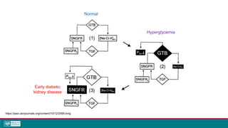 https://jasn.asnjournals.org/content/10/12/2569.long
Normal
Hyperglycemia
Early diabetic
kidney disease
 