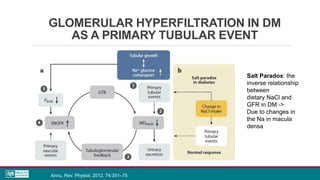 GLOMERULAR HYPERFILTRATION IN DM
AS A PRIMARY TUBULAR EVENT
Annu. Rev. Physiol. 2012. 74:351–75
Salt Paradox: the
inverse relationship
between
dietary NaCl and
GFR in DM ->
Due to changes in
the Na in macula
densa
 