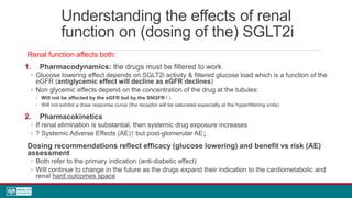 Understanding the effects of renal
function on (dosing of the) SGLT2i
Renal function affects both:
1. Pharmacodynamics: the drugs must be filtered to work
◦ Glucose lowering effect depends on SGLT2i activity & filtered glucose load which is a function of the
eGFR (antiglycemic effect will decline as eGFR declines)
◦ Non glycemic effects depend on the concentration of the drug at the tubules:
◦ Will not be affected by the eGFR but by the SNGFR ! )
◦ Will not exhibit a dose response curve (the receptor will be saturated especially at the hyperfiltering units)
2. Pharmacokinetics
◦ If renal elimination is substantial, then systemic drug exposure increases
◦ ? Systemic Adverse Effects (AE)↑ but post-glomerular AE↓
Dosing recommendations reflect efficacy (glucose lowering) and benefit vs risk (AE)
assessment
◦ Both refer to the primary indication (anti-diabetic effect)
◦ Will continue to change in the future as the drugs expand their indication to the cardiometabolic and
renal hard outcomes space
 
